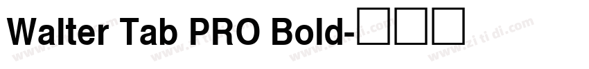 Walter Tab PRO Bold字体转换